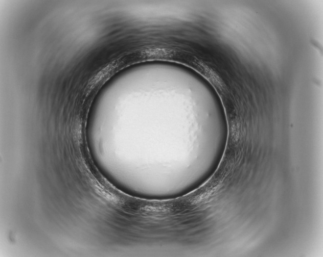 X0000098080725200804181158