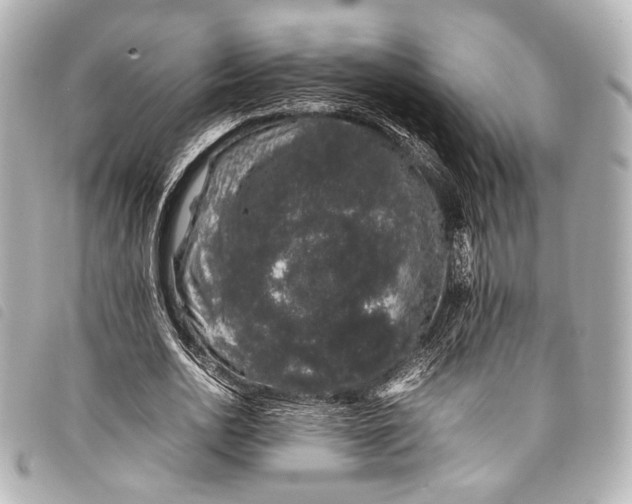 X0000098080726200804181158