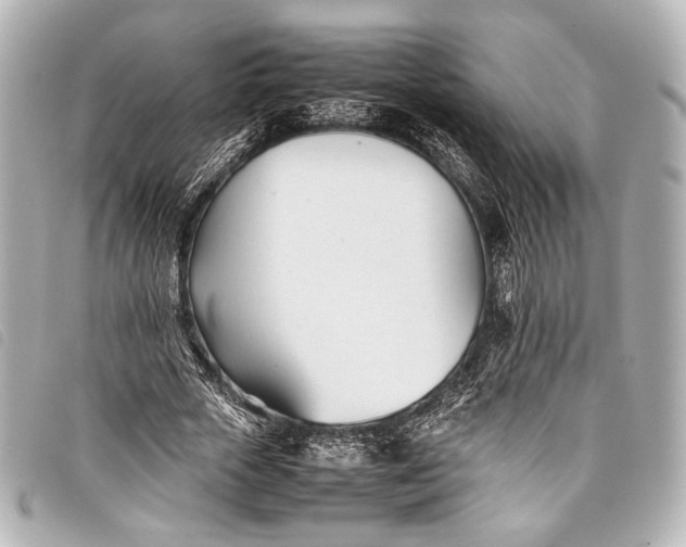 X0000098080729200804181158