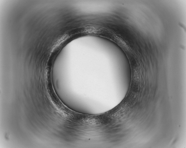 X0000098080730200804181158