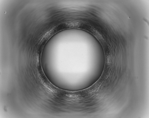 X0000098080733200804181158