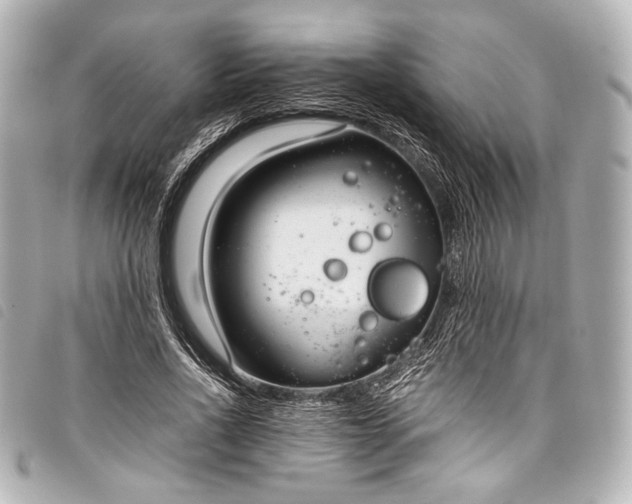 X0000098080734200804181158