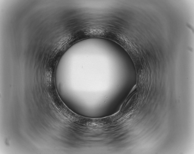 X0000098080739200804181158