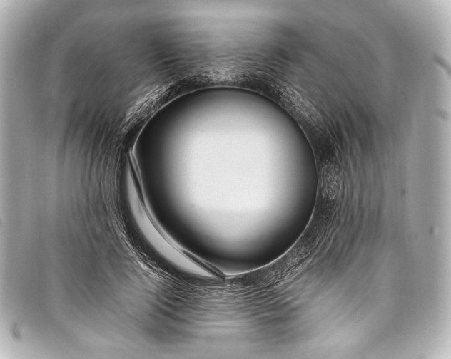 X0000098080740200804181158