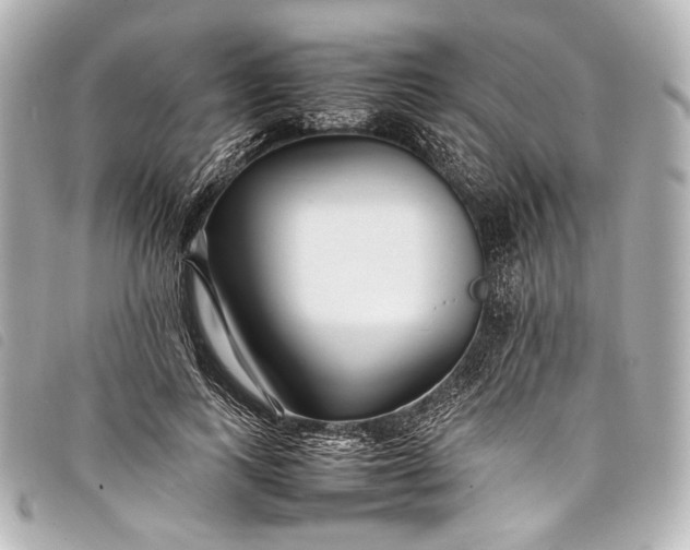 X0000098080743200804181158