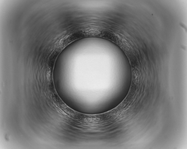 X0000098080745200804181158