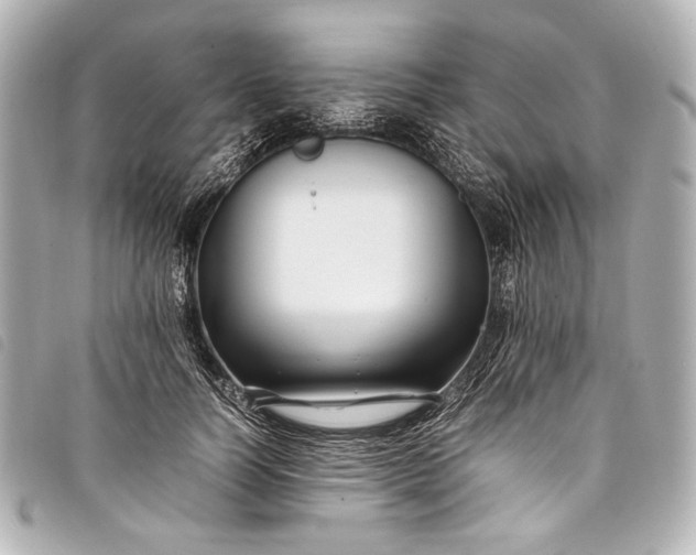 X0000098080746200804181158