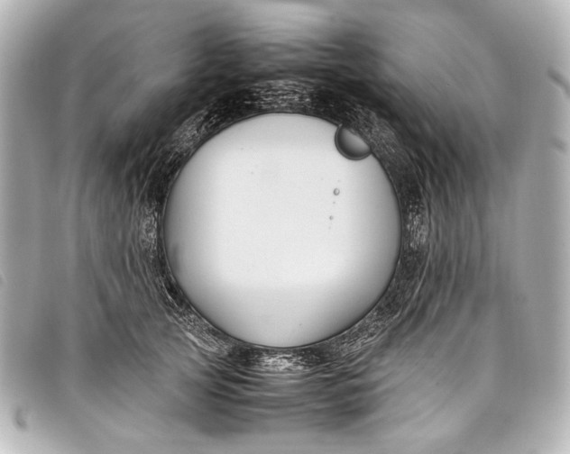 X0000098080753200804181158