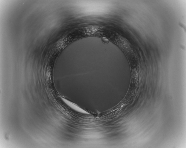 X0000098080754200804181158