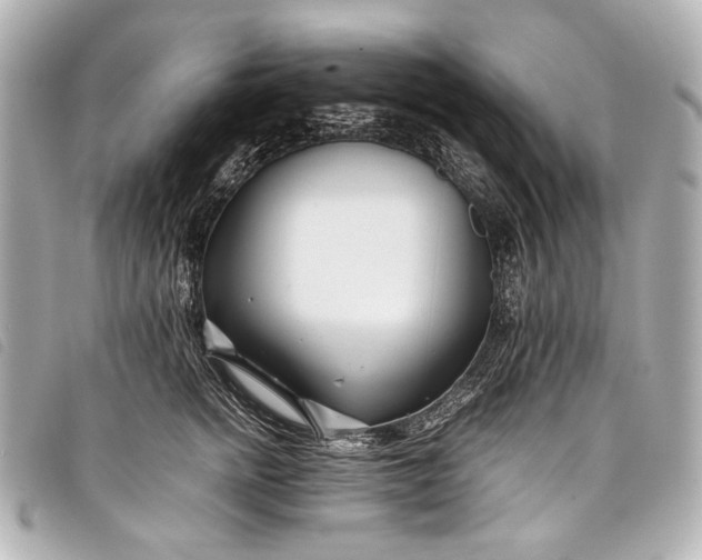 X0000098080758200804181158