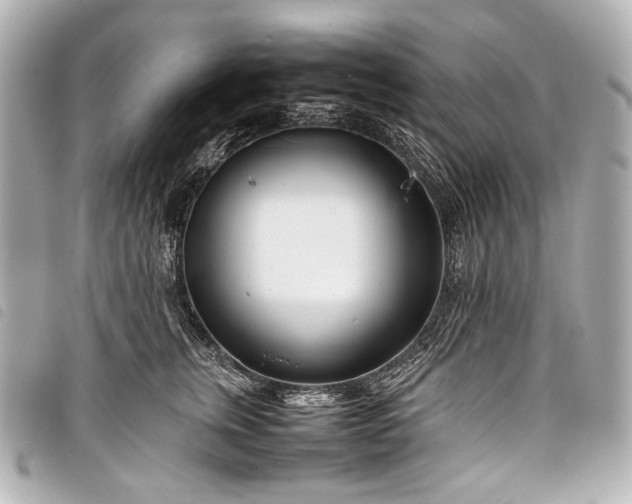 X0000098080759200804181158