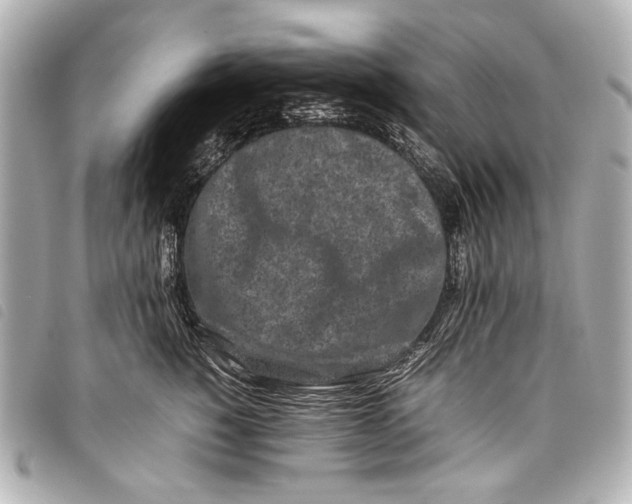 X0000098080760200804181158