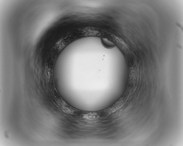 X0000098080761200804181158