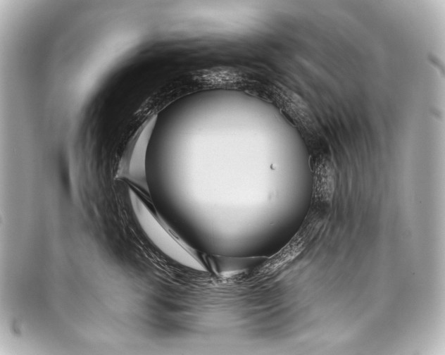 X0000098080762200804181158