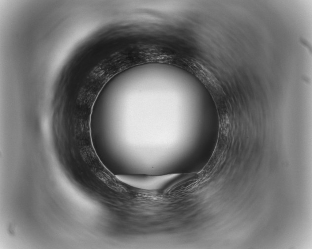 X0000098080763200804181158