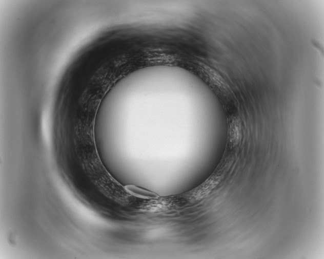 X0000098080764200804181158