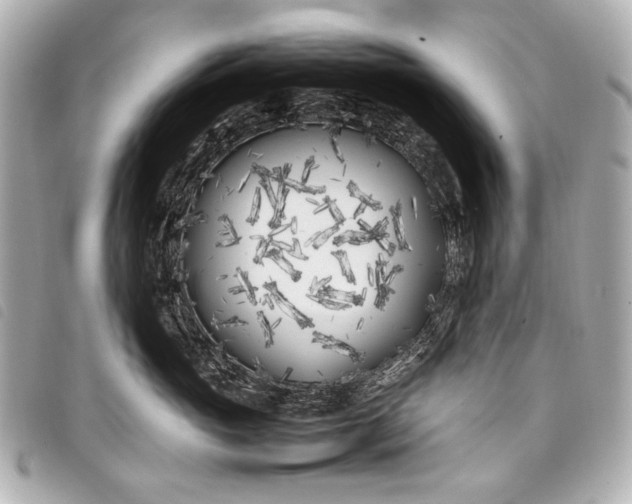 X0000098080765200804181158