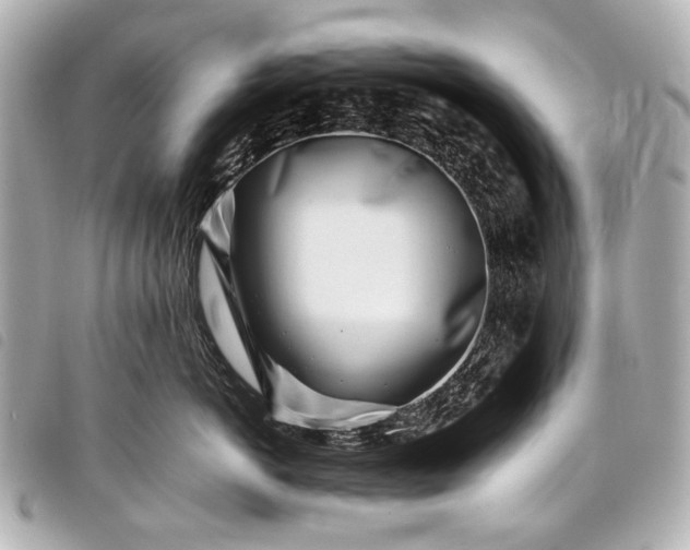 X0000098080766200804181158