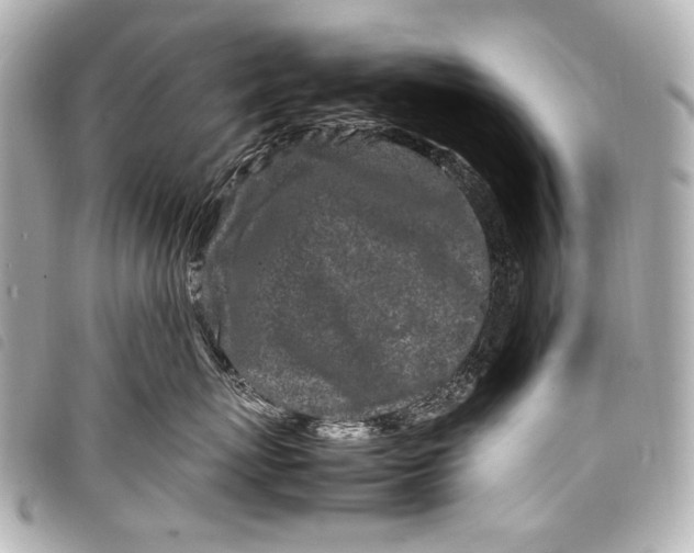 X0000098080767200804181158