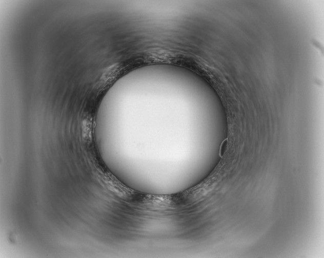 X0000098080768200804181158