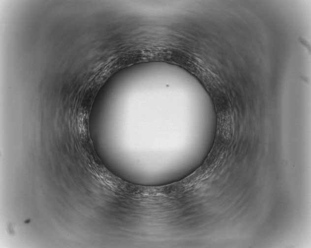 X0000098080770200804181158