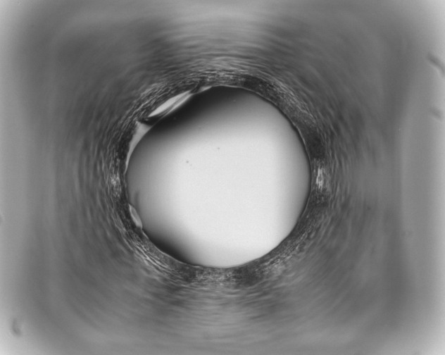 X0000098080771200804181158