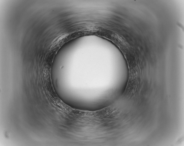 X0000098080773200804181158