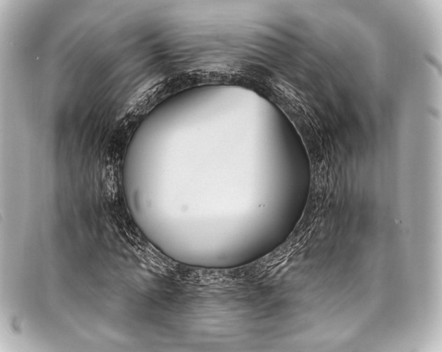 X0000098080774200804181158