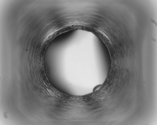 X0000098080775200804181158