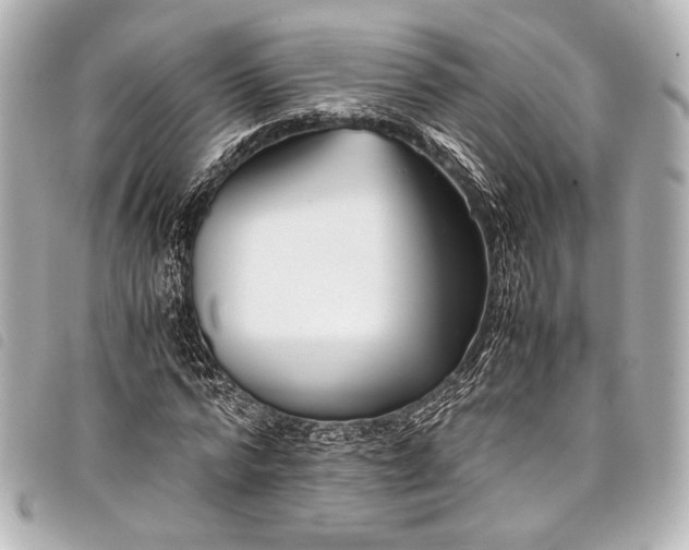 X0000098080776200804181158