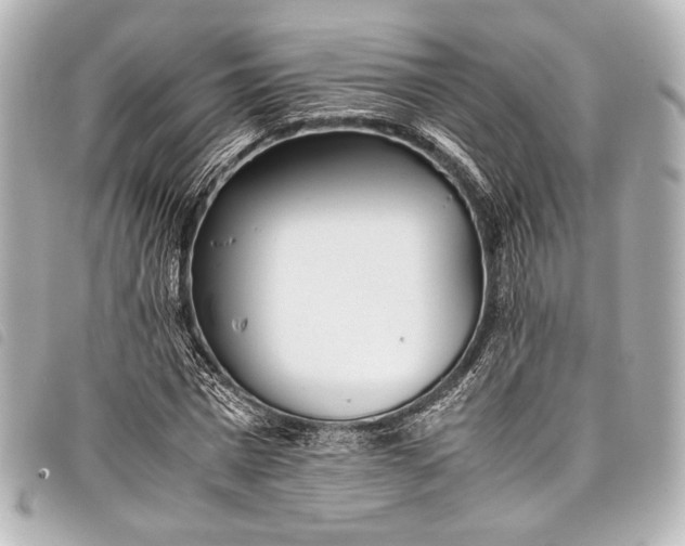 X0000098080777200804181157