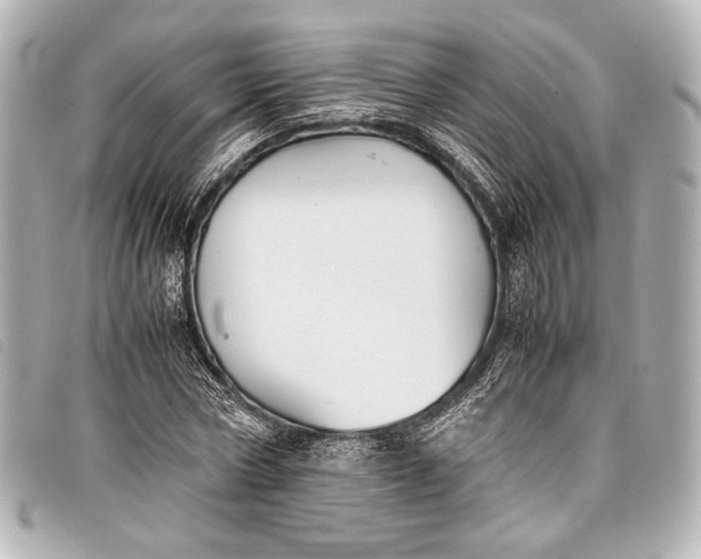 X0000098080778200804181157