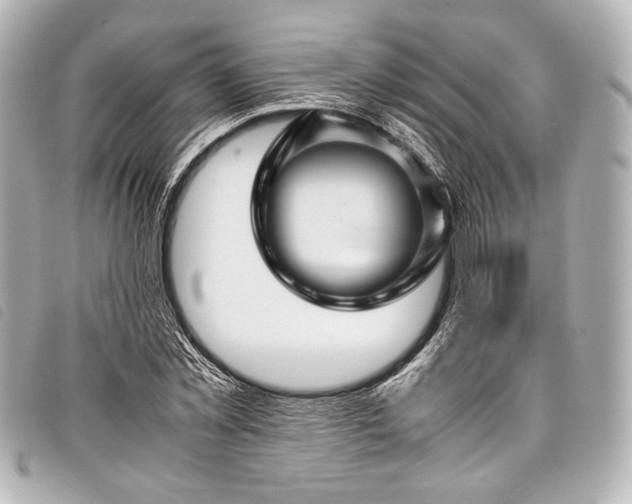 X0000098080781200804181157