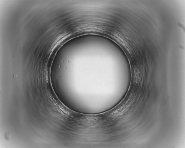 X0000098080782200804181157