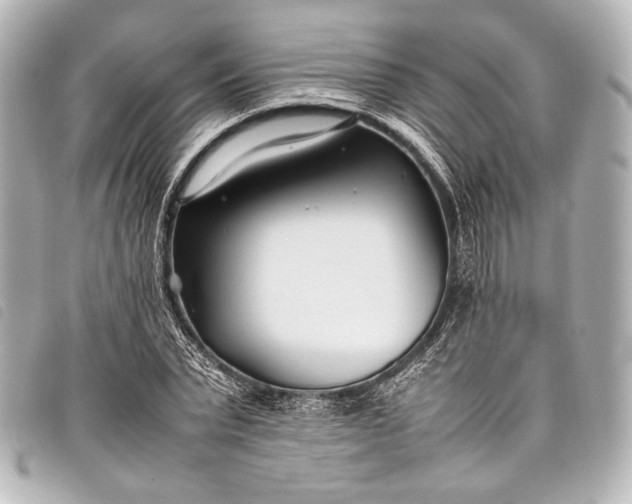 X0000098080783200804181157