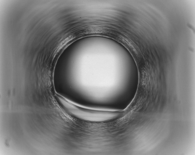 X0000098080786200804181157