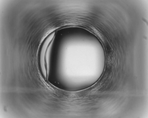 X0000098080787200804181157