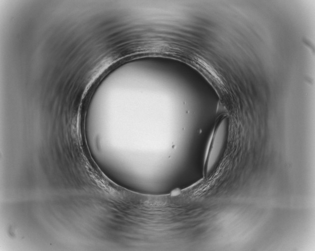 X0000098080788200804181157