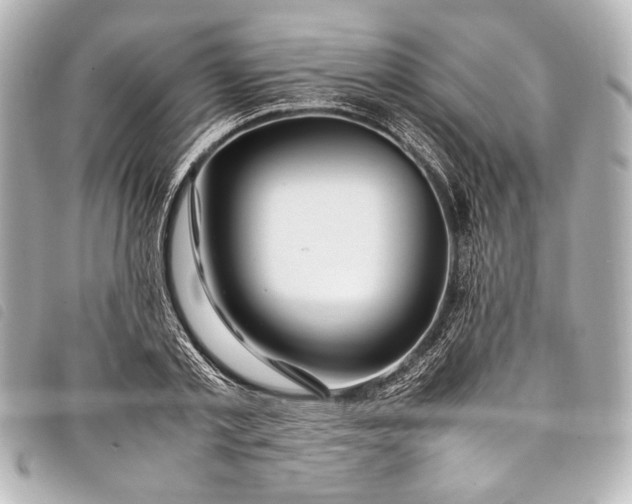 X0000098080789200804181157