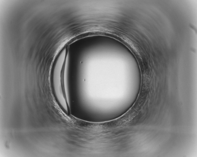 X0000098080791200804181157