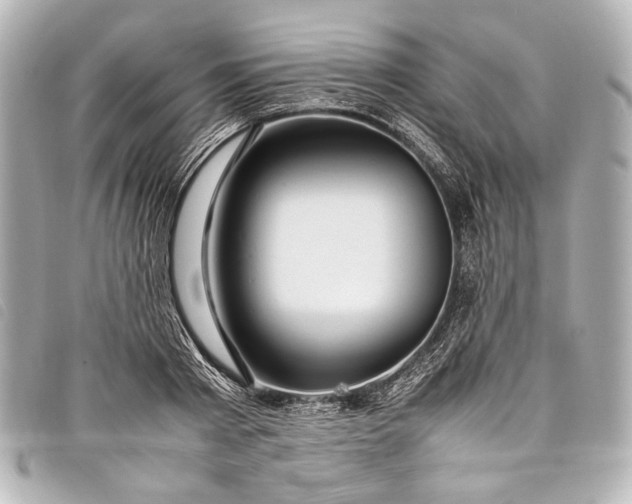 X0000098080793200804181157