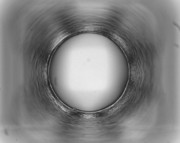 X0000098080794200804181157