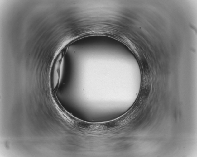 X0000098080795200804181157