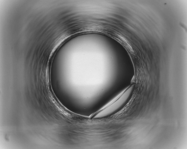 X0000098080796200804181157