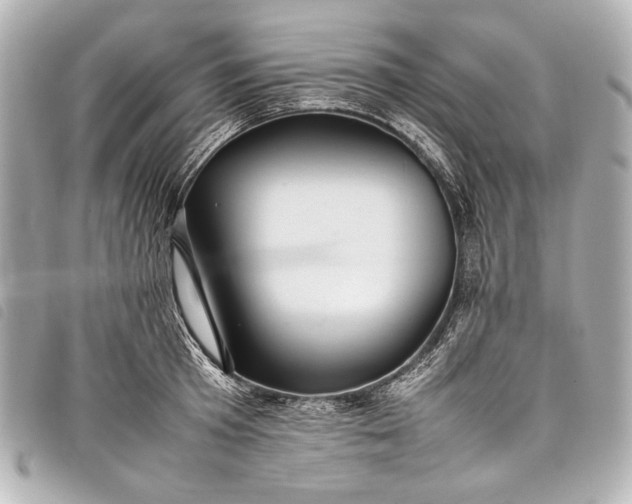 X0000098080801200804181157