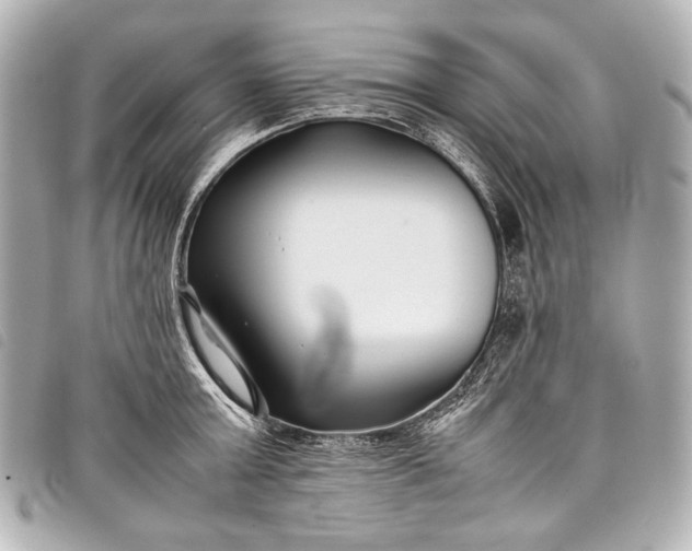 X0000098080803200804181157