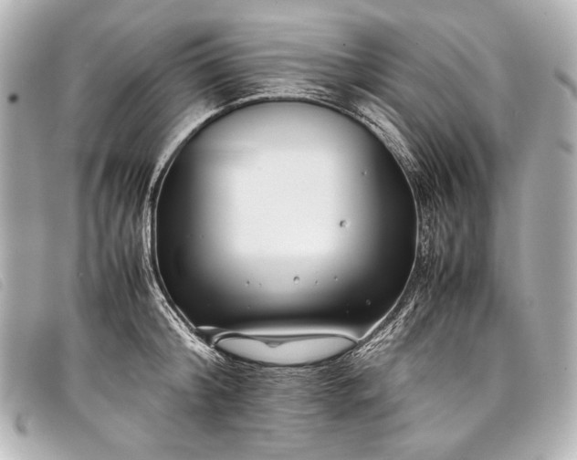 X0000098080804200804181157