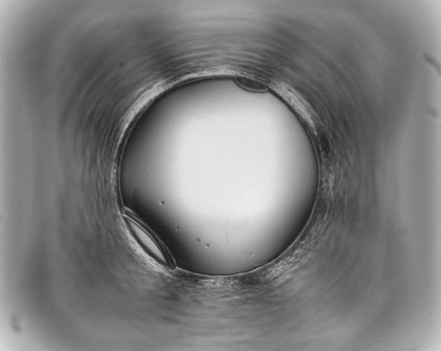 X0000098080805200804181157