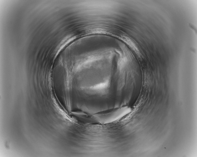 X0000098080806200804181157