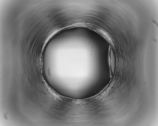 X0000098080808200804181157